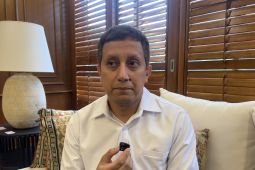 Kemlu: Indonesia dorong agenda inklusi keuangan di KTT BRICS