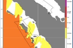 Gempa magnitudo 5,9 guncang Kepulauan Seribu, tak berpotensi tsunami