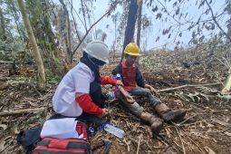 Jambi diguyur Rp30 miliar untuk tangani karhutla