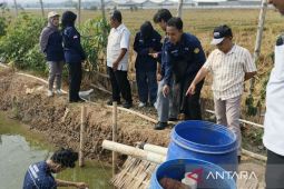 Pemkab Batang menggerakan budi daya ikan nila jadi peluang bisnis