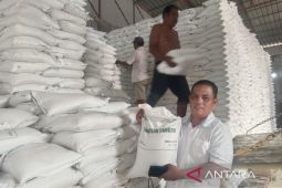 Periode Juli hingga September, Bulog salurkan Banpang beras bertahap di Padang Lawas