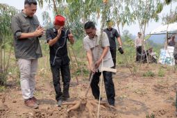 Gubernur komitmen permudah akses pupuk petani singkong Lebak