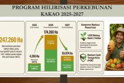 Pemerintah siapkan hilirisasi kakao dan peremajaan kebun petani