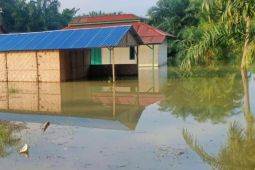 BPBD catat lima hektare perkebunan terendam banjir di Batubara