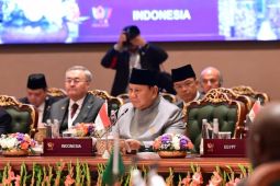 Prabowo dorong BRICS ubah kerentanan jadi kekuatan ekonomi