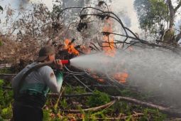 Kaltara perkuat kesiapsiagaan antisipasi meningkatnya titik panas