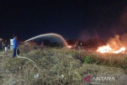 BPBD: Dampak kekeringan di Banyumas meluas hingga 62 desa
