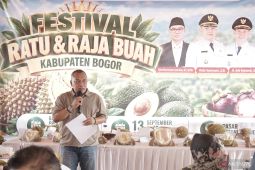Dari Festival Ratu-Raja Buah,  pacu komoditas buah Bogor tembus pasar global
