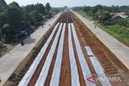 Satgas kebut produktivitas lahan pangan di median Jalan Bomang Bogor