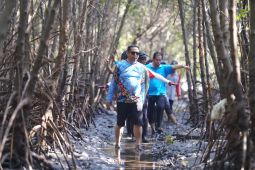 Wali kota Probolinggo dongkrak ekonomi lewat pengembangan ekowisata mangrove
