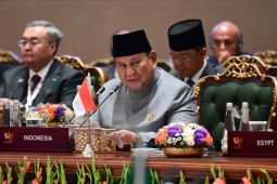 Presiden Prabowo sebut BRICS punya modal bangun abad hijau