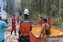 Tim Gabungan padamkan karhutla di kawasan observasi Chanee Kalaweit