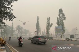 Buntok diselimuti asap tebal, masyarakat diimbau gunakan masker