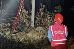 PLN-Ketapang gerak cepat pulihkan jaringan listrik terdampak karhutla