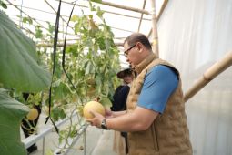 Kadindik Jatim puji panen melon SMKN 1 Tulungagung