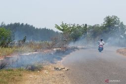 Menguji kesiapsiagaan Bengkulu hadapi karhutla