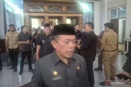 Gubernur Jambi: 80 persen kasus karhutla terindikasi disengaja