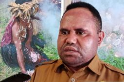 Bapperida sebut data akurat dasar pembangunan di Papua Pegunungan
