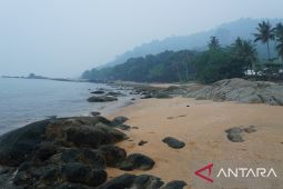 Temajuk berpeluang jadi destinasi wisata lintas batas RI dan Malaysia