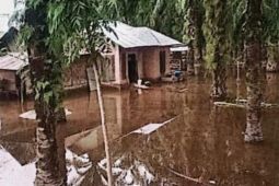 BPBD Sumut catat 137 kepala keluarga  terdampak akibat banjir diLangkat