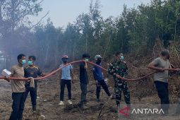 Tim gabungan padamkan api bakar 16 hektare hutan kota di Koba