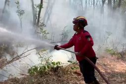 Damkar Tulungagung padamkan karhutla Gunung Budeg