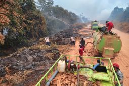 PT Mayawana Persada dan mitra padamkan titik api di zona penyangga
