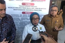 Kementerian ESDM kembangkan energi terbarukan di Pulau Buru dorong percepatan energi daerah terpencil