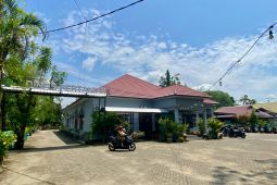 Kekeringan picu hektaran sawah di Tapin gagal panen