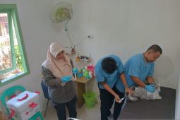 Kementan siapkan 1.000 dosis vaksin rabies di Bangka