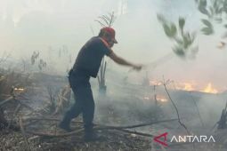 BPBD Pangkalpinang intensifkan patroli cegah karhutla