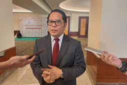 Indonesia miliki modal kuat bangun perdamaian