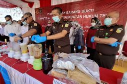 Dari 124 perkara, Kejari Tangerang Selatan musnahkan barang bukti