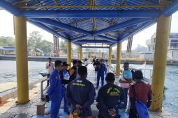 Polisi dalami dugaan WNA asal Tiongkok buru penyu sisik di kawasan Raja Ampat