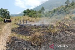 BPBD Kuningan memadamkan kebakaran seluas empat hektare di TNGC