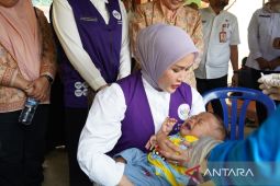 Gerakan Posyandu Aktif Paluta sasar 12 kecamatan