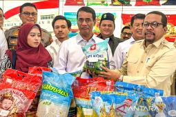 Mentan tegaskan beras fortifikasi bukan untuk gantikan beras premium