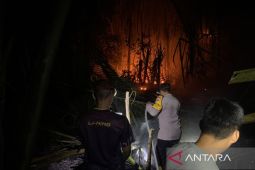BPBD Bangka Barat catat 236 kejadian karhutla selama 2026