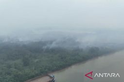 Kualitas udara Samarinda memburuk masuk kategori sangat tidak sehat