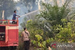 BPBD Pangkalpinang tangani 56 kejadian karhutla