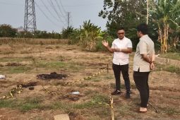 Polisi Tangsel amankan anak aniaya ibu kandung hingga tewas