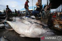 Sumut kembangkan kawasan unggulan perikanan tangkap dan budi daya