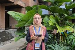 PVMBG benarkan pertumbuhan Gunung Anak Krakatau cepat, namun masih aman