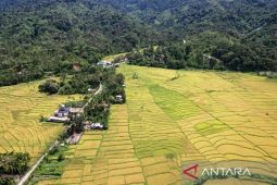 Isi surat masyarakat adat Aceh untuk presiden terkait izin tambang