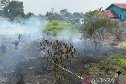 Polisi padamkan kebakaran lahan di Jalan Bintuni-Manimeri