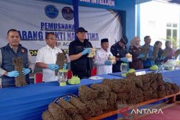 BNNP Aceh musnahkan 44,2 kg ganja dan 2,9 kg sabu