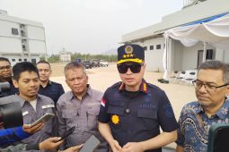 Imigrasi membuka peluang pidanakan WNA terkait penyu Raja Ampat