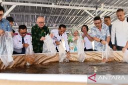 Pemkab Batang kembangkan budi daya ikan nila di lahan seluas 127 hektare