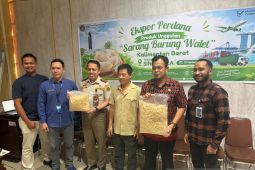 Ekspor perdana sarang burung walet Kalbar ke Singapura Rp1,3 Miliar