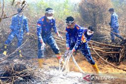 Lanud Sjamsudin Noor padamkan bara tersembunyi di balik gambut